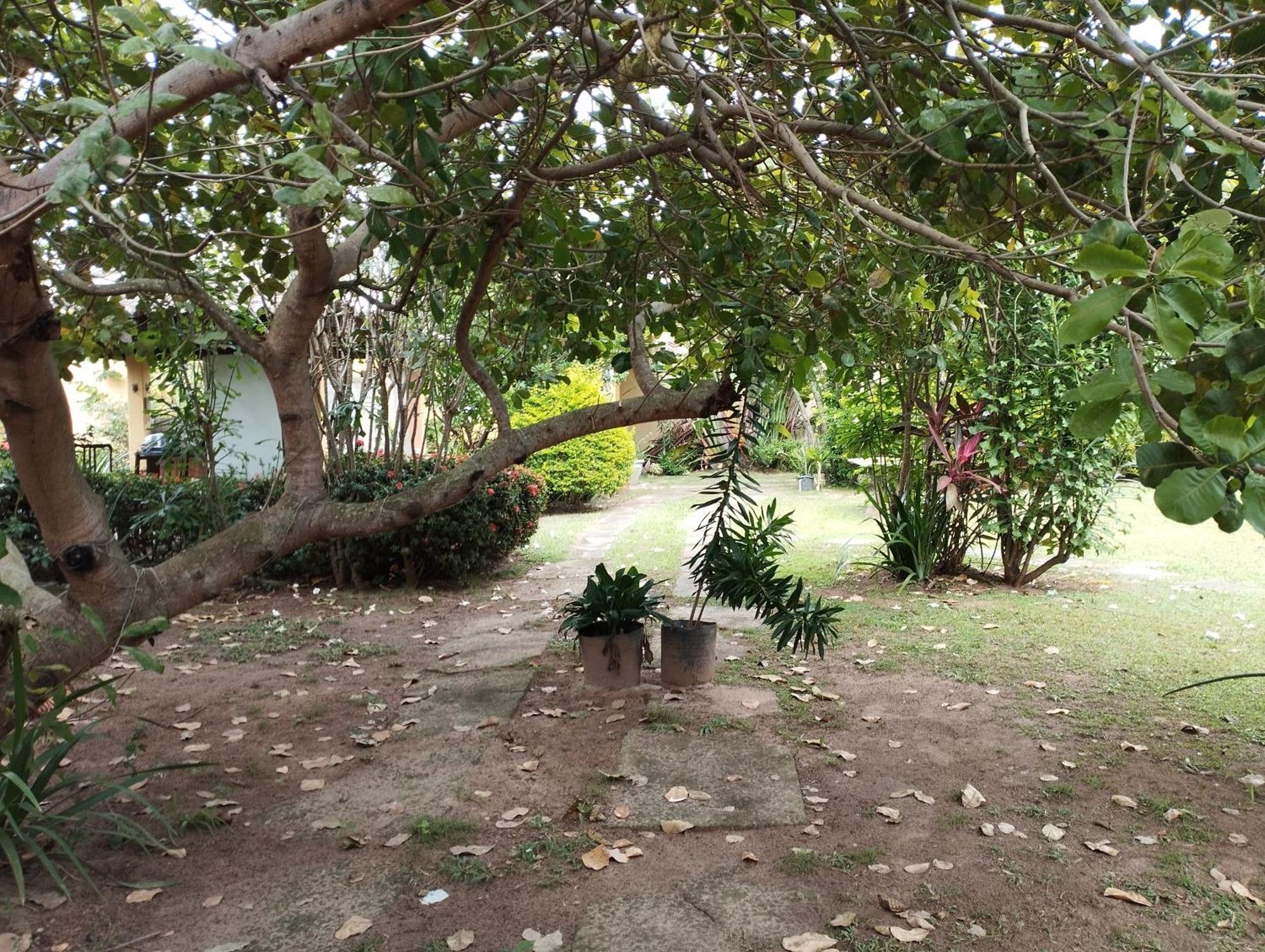 Lumiar Garden Suites E Chales Em Vilas Do Atlantico Lauro de Freitas Buitenkant foto